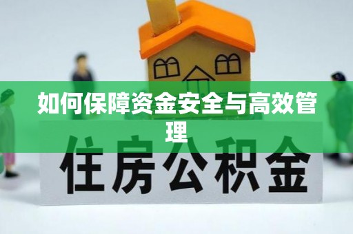 高陵如何保障资金安全与高效管理