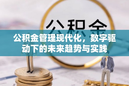 高陵公积金管理现代化，数字驱动下的未来趋势与实践
