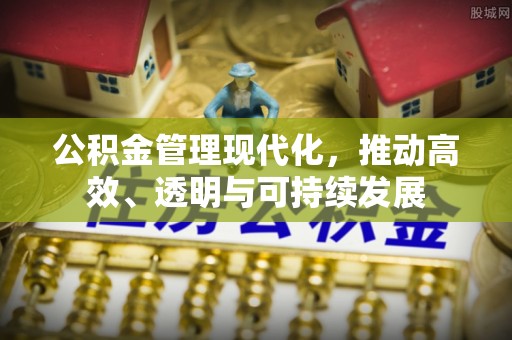 高陵公积金管理现代化，推动高效、透明与可持续发展