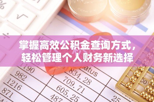 高陵掌握高效公积金查询方式，轻松管理个人财务新选择