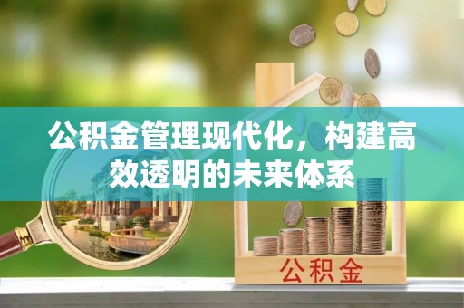 高陵公积金管理现代化，构建高效透明的未来体系