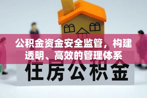高陵公积金资金安全监管，构建透明、高效的管理体系