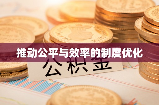 高陵推动公平与效率的制度优化