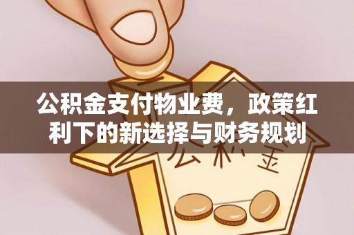 高陵公积金支付物业费，政策红利下的新选择与财务规划