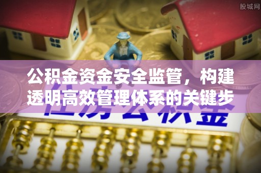 高陵公积金资金安全监管，构建透明高效管理体系的关键步骤