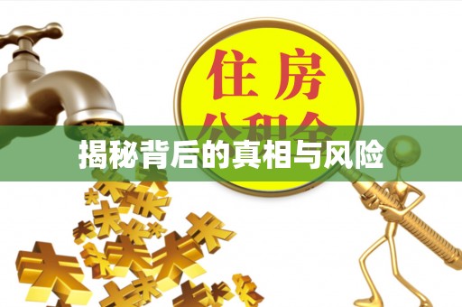 高陵揭秘背后的真相与风险
