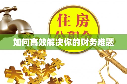 高陵如何高效解决你的财务难题