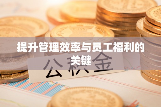 高陵提升管理效率与员工福利的关键