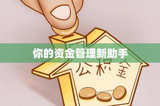 高陵你的资金管理新助手