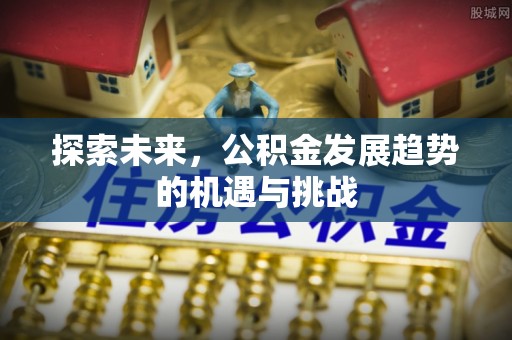 高陵探索未来，公积金发展趋势的机遇与挑战