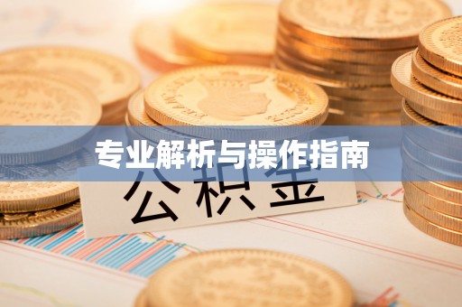 高陵专业解析与操作指南