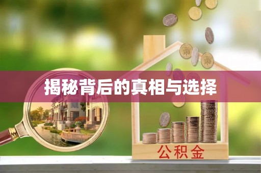 高陵揭秘背后的真相与选择