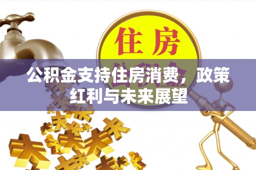 高陵公积金支持住房消费，政策红利与未来展望