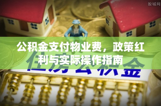 高陵公积金支付物业费，政策红利与实际操作指南