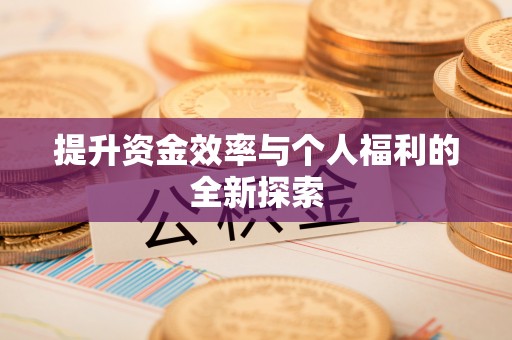 高陵提升资金效率与个人福利的全新探索