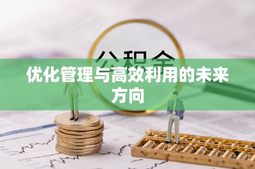 高陵优化管理与高效利用的未来方向
