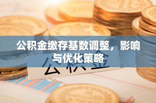 高陵公积金缴存基数调整，影响与优化策略
