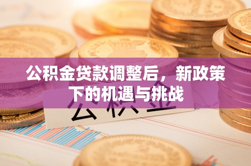 高陵公积金贷款调整后，新政策下的机遇与挑战