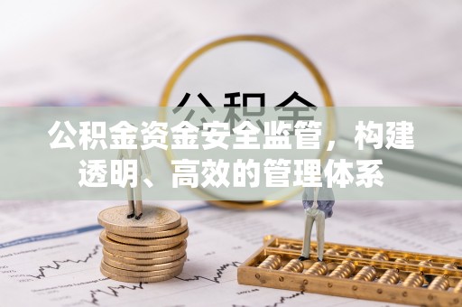 高陵公积金资金安全监管，构建透明、高效的管理体系