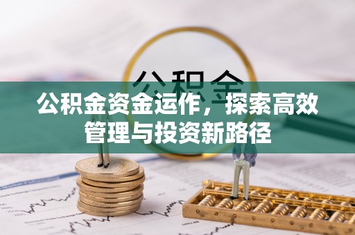 高陵公积金资金运作，探索高效管理与投资新路径