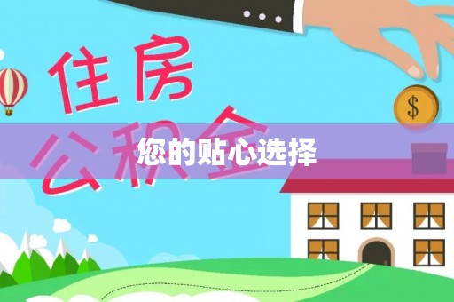 高陵您的贴心选择