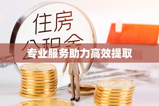 高陵专业服务助力高效提取